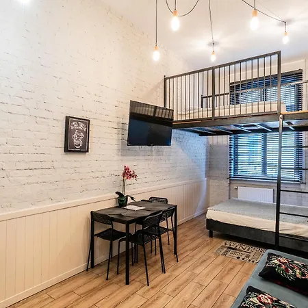 Paryski Nr 5- Centrum, Wifi, 24 Check-in Apartmán